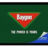Baygon