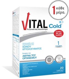VITAL COLD, LIPIDCAPS FOR THE SUPPORT OF IMMUNE SYSTEM AND FOR THE RELIEF OF COLD& FLU SYMPTOMS 20LIPIDCAPS