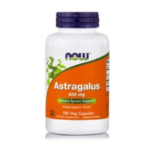 Now Astragalus 500 mg 100 Vegetarian Capsules