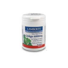 Lamberts Ginkgo 6000mg x 30 Tablets - For Memory And Normal Blood Circulation