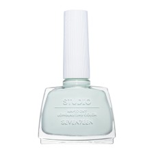 Seventeen Studio Rapid Dry Lasting Nail Color 249