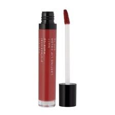 Radiant Matt Lasting Lip Color 22