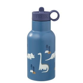 Fresk Stainless Steel Bottle Dino 350ml with Extra Lid