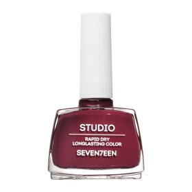 Seventeen Studio Rapid Dry Lasting Color No 261