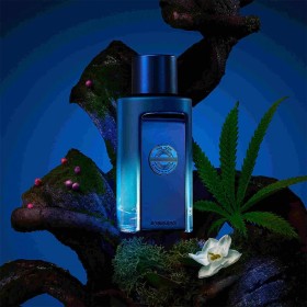 Antonio Banderas The Icon Supreme Men Intense EDP 50ml