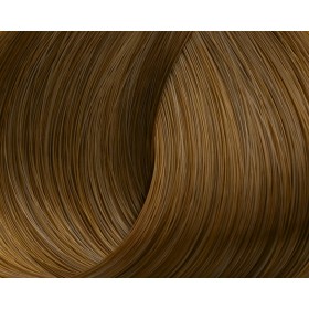 Lorvenn Beauty Color No 8.32 - Light Blond Maroon - Permanent Hair ...