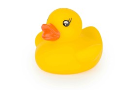 Isabelle Laurier bath toy duck