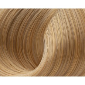 Lorvenn Color Pure Ammonia Free Permanent Hair Color No 10.03 Natur...