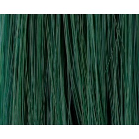 Lorvenn Electric Color Vibes No 11 Green Galaxy 90ml