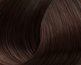 Lorvenn Color Pure Ammonia Free Permanent Hair Color No 6.75 Paliss...