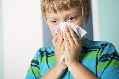 Autumn Allergies and Your Immune System: Is It a Cold or Hay Fever?