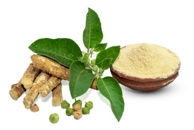 Ashwagandha: Το Φυσικό «Αντίδοτο» στο Άγχος και την Εξάντληση