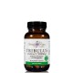 BOTANICAL HARMONY TRIBULUS 500MG 60VEGETABLE CAPSULES