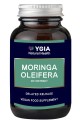 Ygia Moringa Oleifera 60s